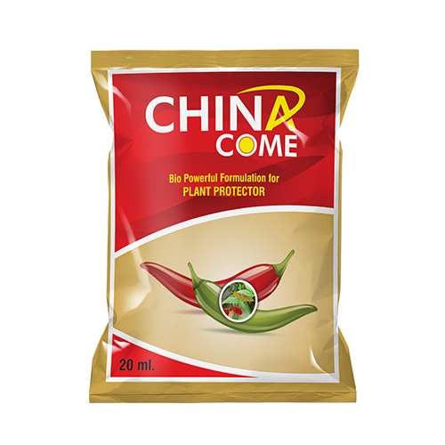 china-gate