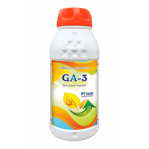 ga-03