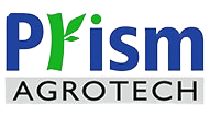 p-logo